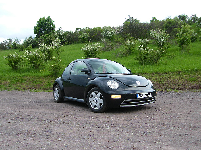 DSCF4115.JPG