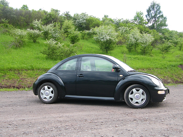 DSCF4116.JPG