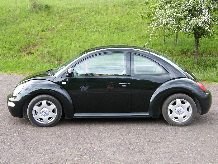 DSCF4135.JPG