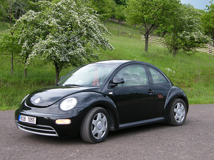 DSCF4136.JPG