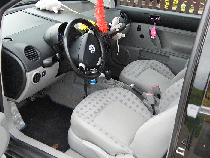 DSCF4175.JPG