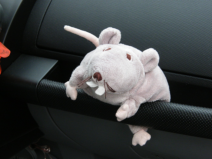 DSCF1881.JPG