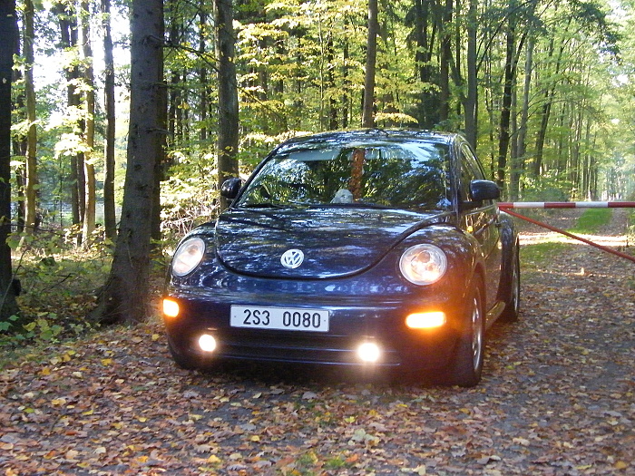 DSCF2947.JPG