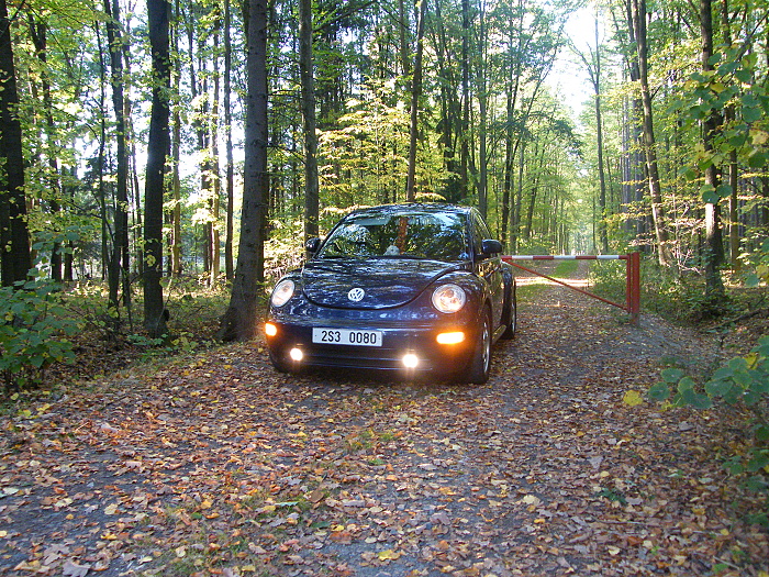 DSCF2948.JPG