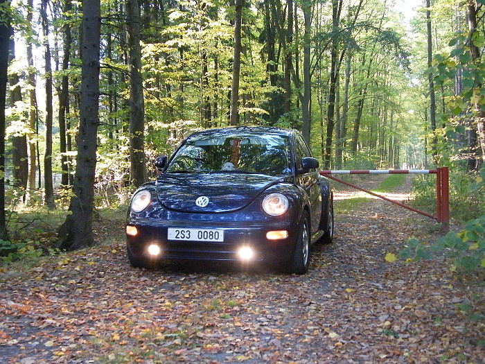 DSCF2946.JPG