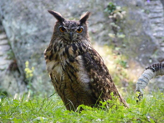 DSCF5750.JPG