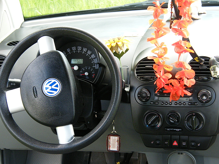 DSCF1042.JPG